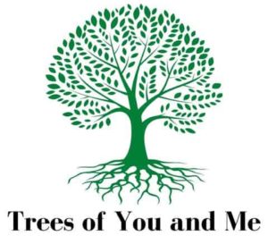 Trees of You and Me logo